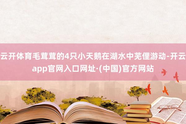 云开体育毛茸茸的4只小天鹅在湖水中芜俚游动-开云app官网入口网址·(中国)官方网站