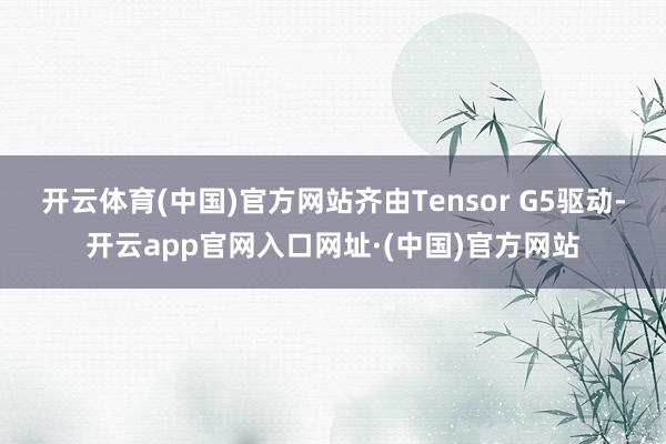 开云体育(中国)官方网站齐由Tensor G5驱动-开云app官网入口网址·(中国)官方网站