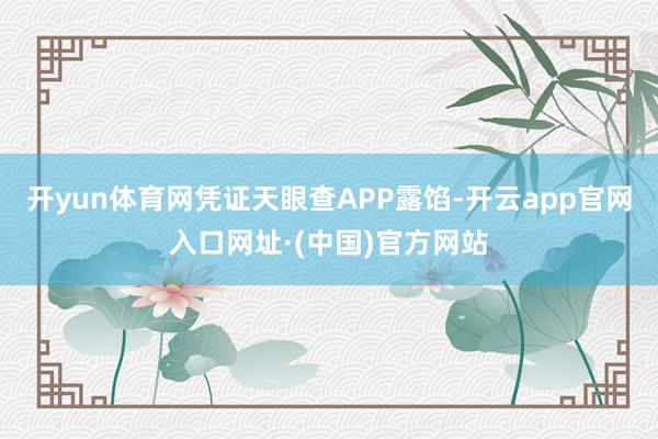 开yun体育网凭证天眼查APP露馅-开云app官网入口网址·(中国)官方网站
