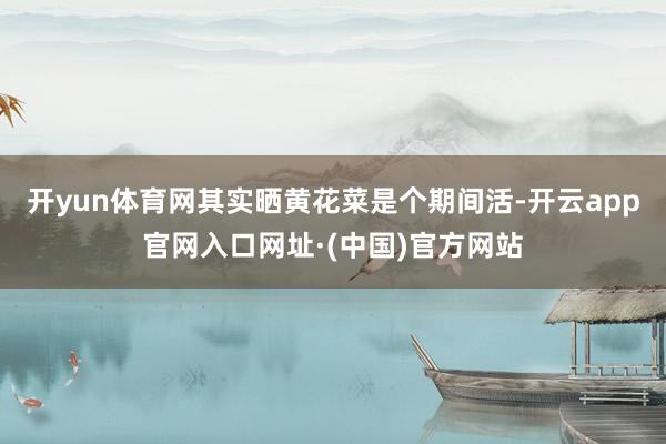 开yun体育网其实晒黄花菜是个期间活-开云app官网入口网址·(中国)官方网站