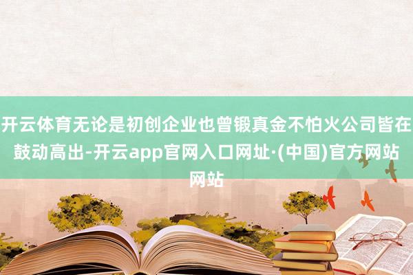 开云体育无论是初创企业也曾锻真金不怕火公司皆在鼓动高出-开云app官网入口网址·(中国)官方网站
