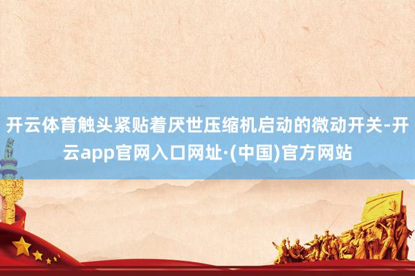 开云体育触头紧贴着厌世压缩机启动的微动开关-开云app官网入口网址·(中国)官方网站