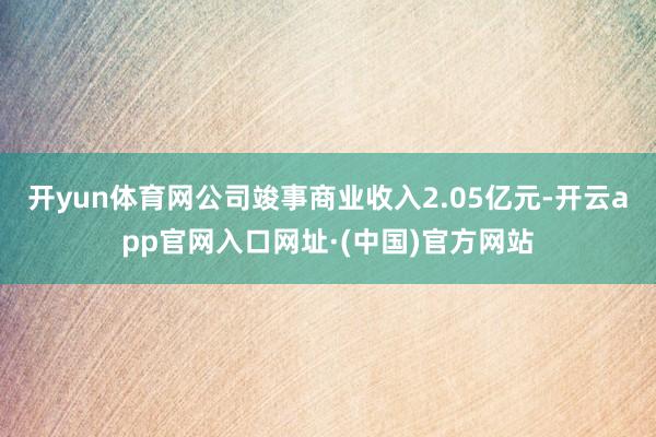 开yun体育网公司竣事商业收入2.05亿元-开云app官网入口网址·(中国)官方网站